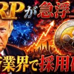 【XRP決済採用確定】トランプ政権が仕掛ける単独バブルの全貌と驚愕のリップル最高値を暴露❗️