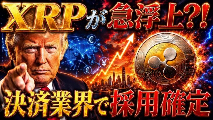 【XRP決済採用確定】トランプ政権が仕掛ける単独バブルの全貌と驚愕のリップル最高値を暴露❗️