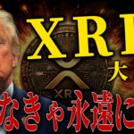 【XRPの罠】知らなきゃ永遠にカモ｜大衆の絶望を利益に変えて大逆転せよ