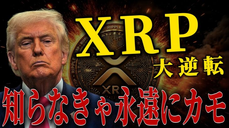 【XRPの罠】知らなきゃ永遠にカモ｜大衆の絶望を利益に変えて大逆転せよ
