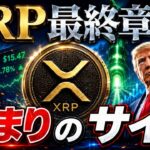 XRP保有者へ激震🔥遂に爆上げか!?【リップル最新】