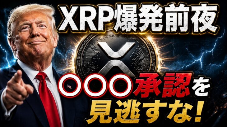 👀XRP保有者へ朗報📝全てが揃い始めた🔥🔥