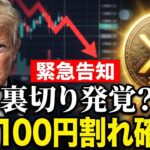 【リップル激震】XRP年内100円割れの危機⁉️【暗号資産　最新情報】