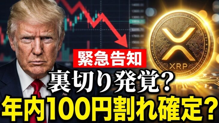 【リップル激震】XRP年内100円割れの危機⁉️【暗号資産　最新情報】