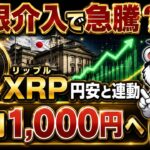 【円安の逃げ場】今リップル(XRP)を買うべき理由を億トレーダーが解説｜年内1,000円の根拠