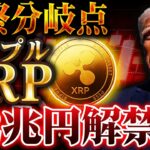【仮想通貨】XRP（リップル）最大12兆円解禁。暴落続きの今が最後の分岐点【ゆっくり解説】
