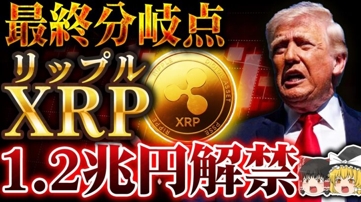 【仮想通貨】XRP（リップル）最大12兆円解禁。暴落続きの今が最後の分岐点【ゆっくり解説】