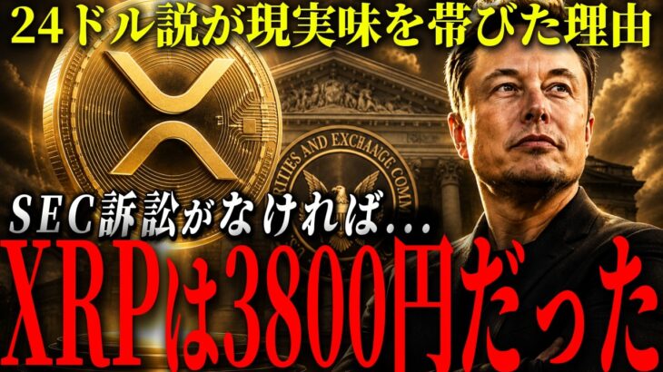 『XRPは本来24ドルだった』SEC訴訟で失われた“史上最大の機会損失”を検証。