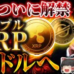 【超朗報】XRP（リップル）28ドルへ。7月、ついに解禁【ゆっくり解説】