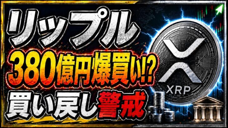 【リップル】XRP急騰前夜か！380億円規模の爆買いシグナル発生？！【仮想通貨】