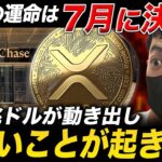 【XRP速報】7月に運命が決まる！クジラ保有率74%超えで8倍高騰のシナリオとは？【最新情報 仮想通貨 ビットコイン】