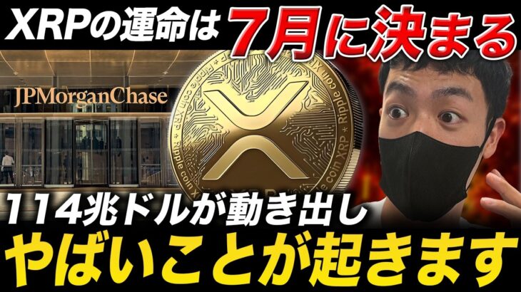 【XRP速報】7月に運命が決まる！クジラ保有率74%超えで8倍高騰のシナリオとは？【最新情報 仮想通貨 ビットコイン】
