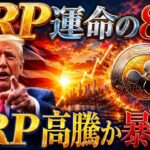 XRP、運命の80日が始まる。法案可決ならリップルは爆発するのか？【リップル最新情報】