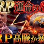 ⚠️緊急⚠️XRP運命の80日間❗️この夏逃すと「4年間終了」の残酷な現実….(リップル驚愕情報)