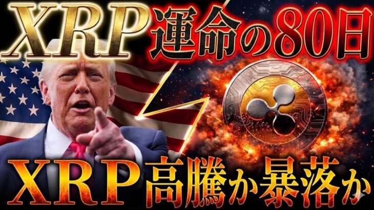 ⚠️緊急⚠️XRP運命の80日間❗️この夏逃すと「4年間終了」の残酷な現実….(リップル驚愕情報)