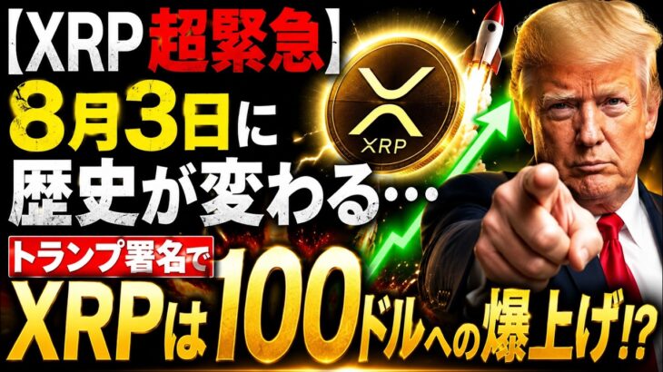 【XRP超緊急】8月3日までに全てが決まる！トランプ大統領の署名でXRPは100ドルへ！【BTC】【ビットコイン】【リップル】【仮想通貨】【投資】
