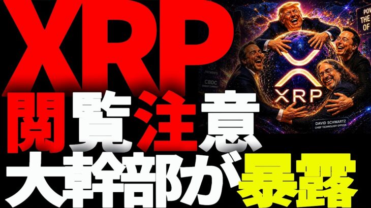 リップル速報!!XRP名誉CTOがまた暴露発言!!XRPの未来を予言か!?#仮想通貨#リップル#暗号資産#XRP