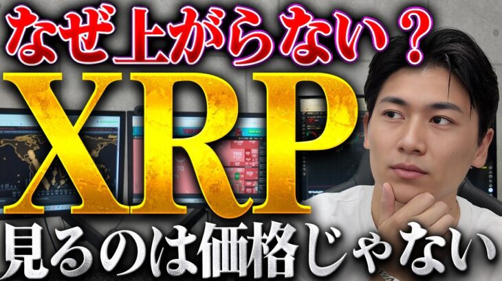 【XRP最新】「使われれば上がる」は半分ウソ。なぜ価格が上がらないのか？ETFが示す”サイン”とは