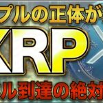 【XRP】ついに動いた！Rippleが仕掛ける「年間3兆ドル」規模の衝撃計画と今後の価格予想【リップル 仮想通貨 最新】