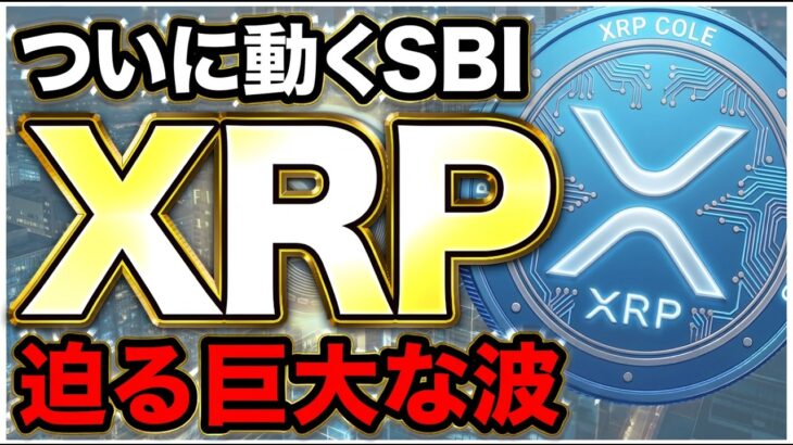 【XRP・ビットコイン】ついに動き出したSBI！初心者が今すぐ確認すべき3つの重要ポイント【リップル 仮想通貨 最新】