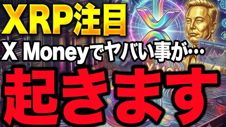 【XRP速報】イーロンのX Money始動。SNSが銀行になる時代にリップルは乗るのか？【仮想通貨 最新情報 ビットコイン】