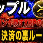 【リップル緊急】イーロン・マスクとXRPの「秘密のルート」が判明！Xマネー背後の銀行が仕掛ける11年越しの計画【仮想通貨　最新情報】
