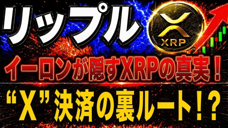 【リップル緊急】イーロン・マスクとXRPの「秘密のルート」が判明！Xマネー背後の銀行が仕掛ける11年越しの計画【仮想通貨　最新情報】