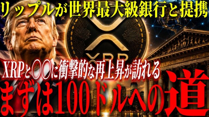 『世界最大級銀行とXRP』世界最大級銀行との関係が再注目される中、海外ストラテジストがXRPと○○にも大規模再上昇の可能性を示唆。