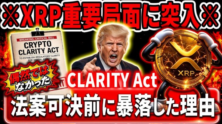 🟨XRPには一刻の猶予も残されていない🟨クラリティ法案の闇をお伝えします#xrp #リップル #暗号通貨