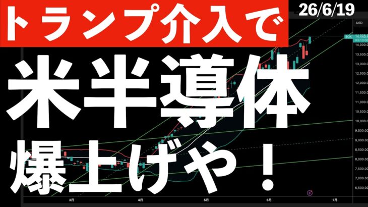 【トランプ介入】米半導体株が最高値更新！日本株は？　#米国株 #日経平均 #sp500 #soxl #nvda