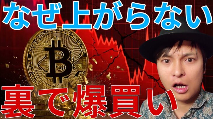 ​【真実】なぜ仮想通貨だけ上がらない？裏でビットコインを大口投資家が爆買いしてる理由
