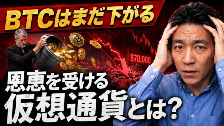 ビットコインがダメなら何を買えばいいのか？