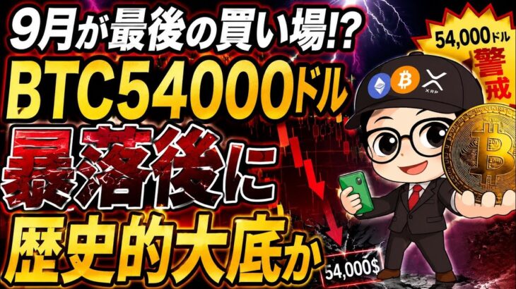 ビットコイン急落は想定内。この後に起きる展開が重要です。
