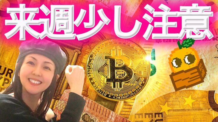 大底の前にうねうねする 全利確したポジション公開するお