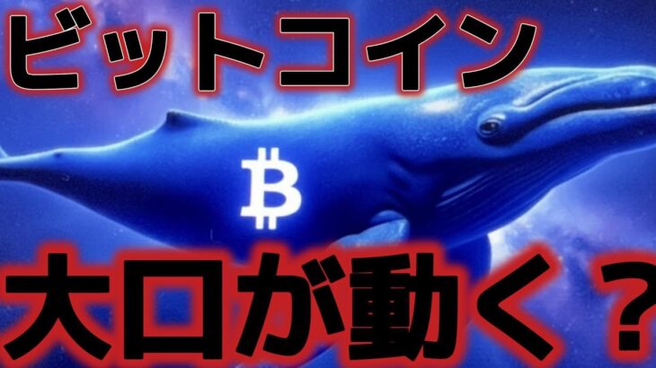 ビットコインん暴落の裏で大口が買っている⁉️投げ売り後の市場を徹底分析‼️