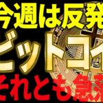 ビットコイン今週も暴落？それとも反発？今後の重要ポイント徹底解説！【仮想通貨】