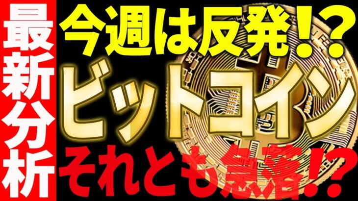 ビットコイン今週も暴落？それとも反発？今後の重要ポイント徹底解説！【仮想通貨】