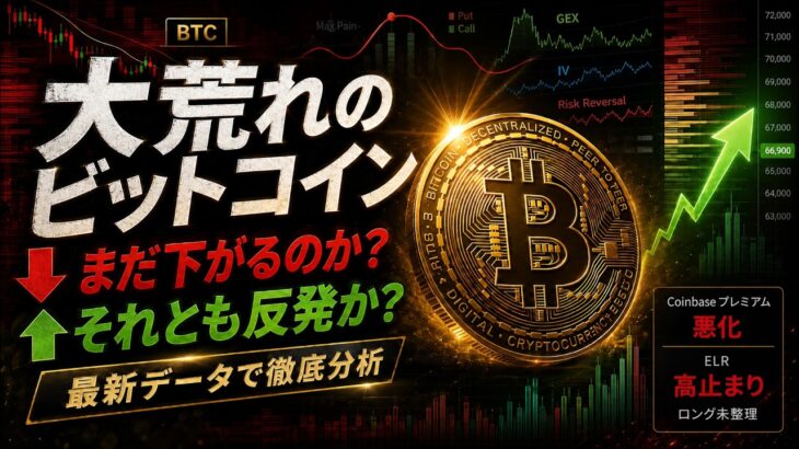 大荒れのビットコイン。まだ下がるのか？反発か？最新データで徹底分析