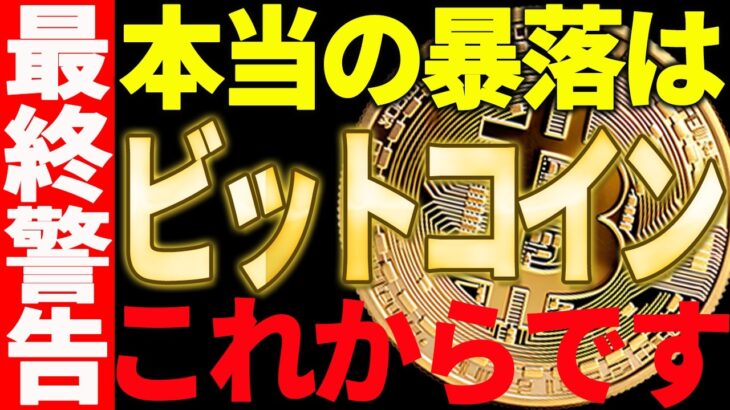 ⚠️最終警告⚠️ビットコインの本当の暴落はこれからです！今すぐ備えてください！【仮想通貨】