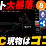 【アルトコイン大暴落】　ビットコインの現物の仕込み時は多分ココ！
