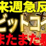 ビットコイン来週急反発⁉それともまた暴落⁉プロの今後の見解は○○です！【仮想通貨】