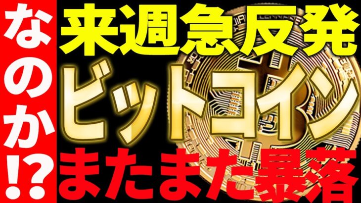 ビットコイン来週急反発⁉それともまた暴落⁉プロの今後の見解は○○です！【仮想通貨】