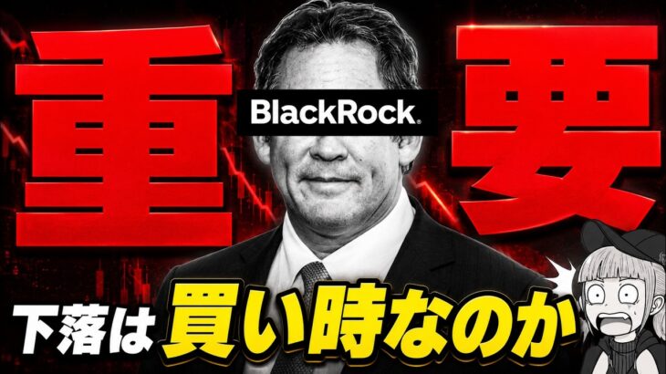 【ブラックロックが語る】今は買い時なのか？注目は日本？