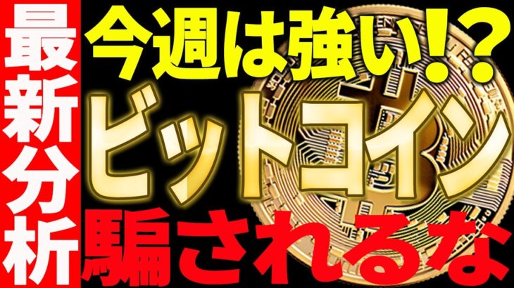 ビットコイン今週は強い反発に期待⁉今後の値動きに騙されるな！【仮想通貨】