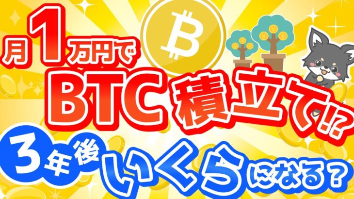 【実験】初心者向け🔰月1万円だけでビットコインは増えるのか？積立て開始！