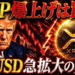【7月最新版】RLUSD大量発行でXRP爆上げ？リップル社の狙いと7月&8月の危険な落とし穴❗️