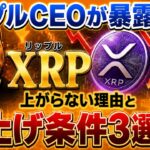 リップルCEO「XRPを売る必要がある」発言の真意がヤバすぎた【仮想通貨】