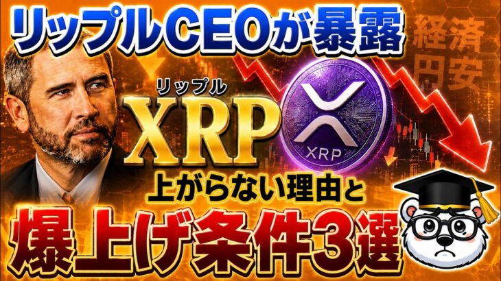 リップルCEO「XRPを売る必要がある」発言の真意がヤバすぎた【仮想通貨】