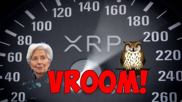 Ripple XRP FULL SPEED!!!