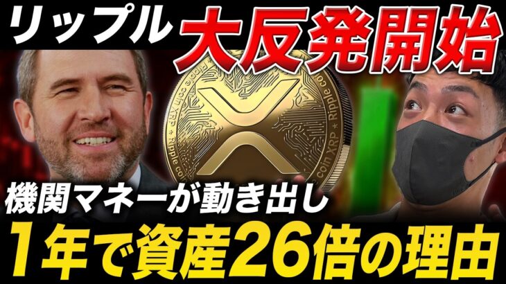 【XRP速報】リップル大反発開始。全員が見逃している本当の仕込みポイントとは？【仮想通貨 最新情報】